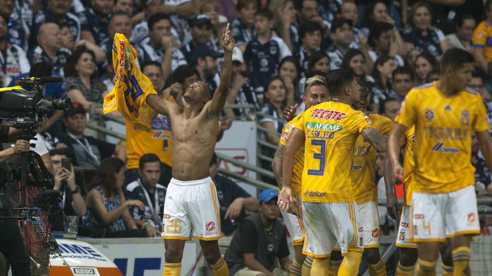 Luis Quinones Tigres