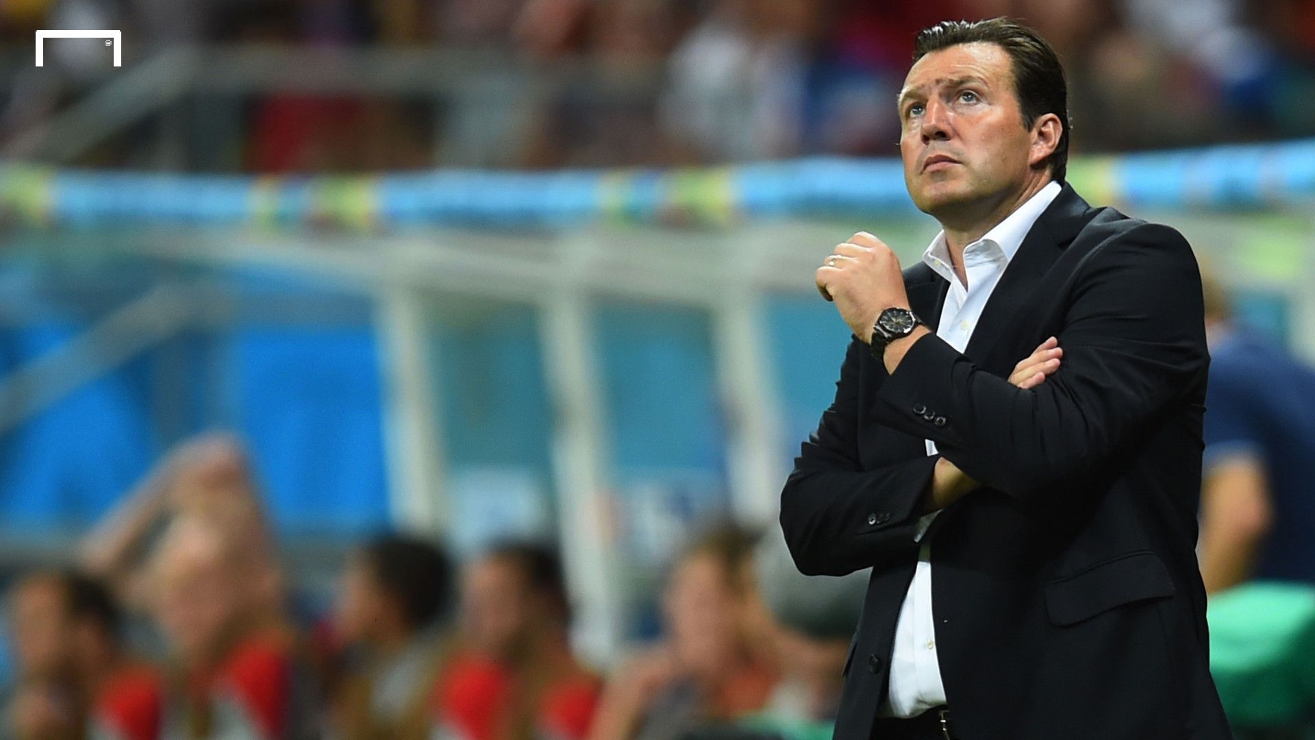 Marc Wilmots | Belgium