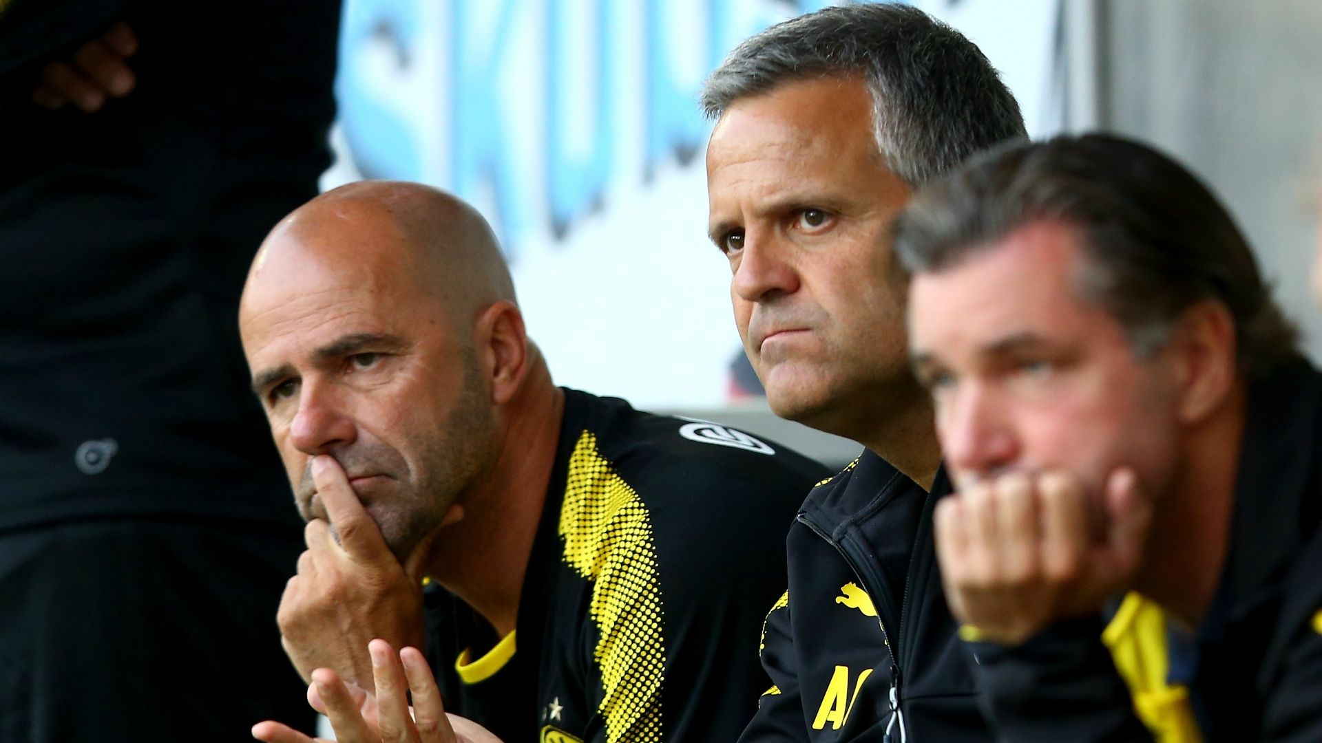 Albert Capellas Peter Bosz Borussia Dortmund