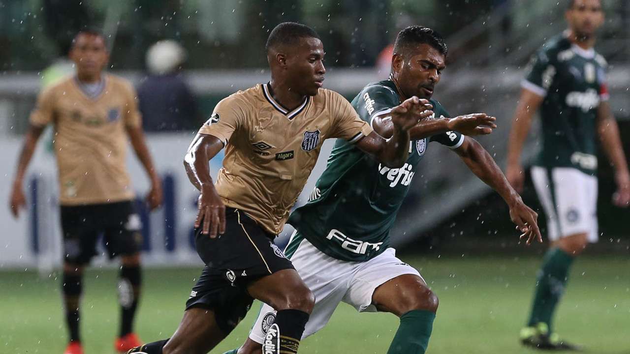 Jean Lucas Thiago Santos Palmeiras Santos Paulista 23022019