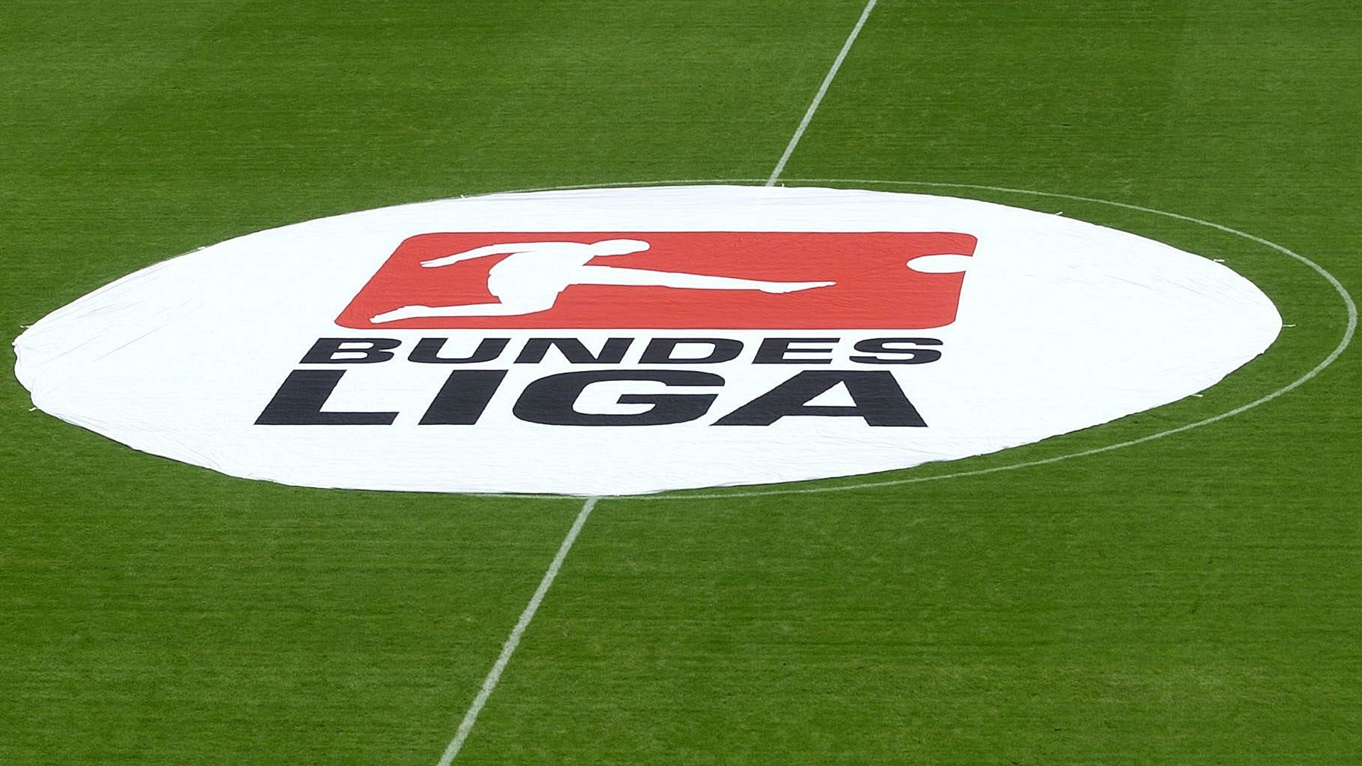 Bundesliga Logo DFB DFL