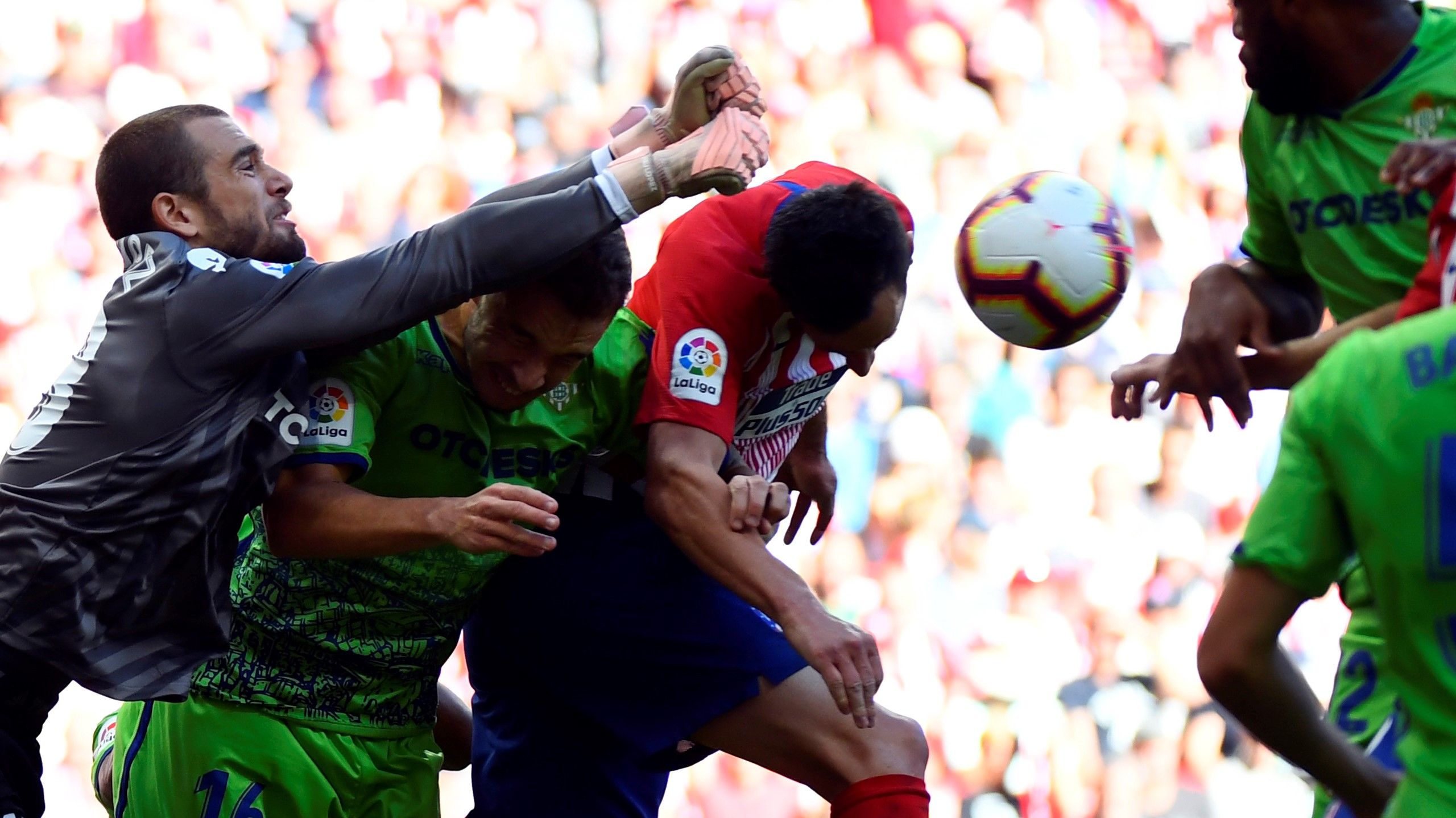 Pau Lopez Atletico de Madrid Betis LaLiga 07102018