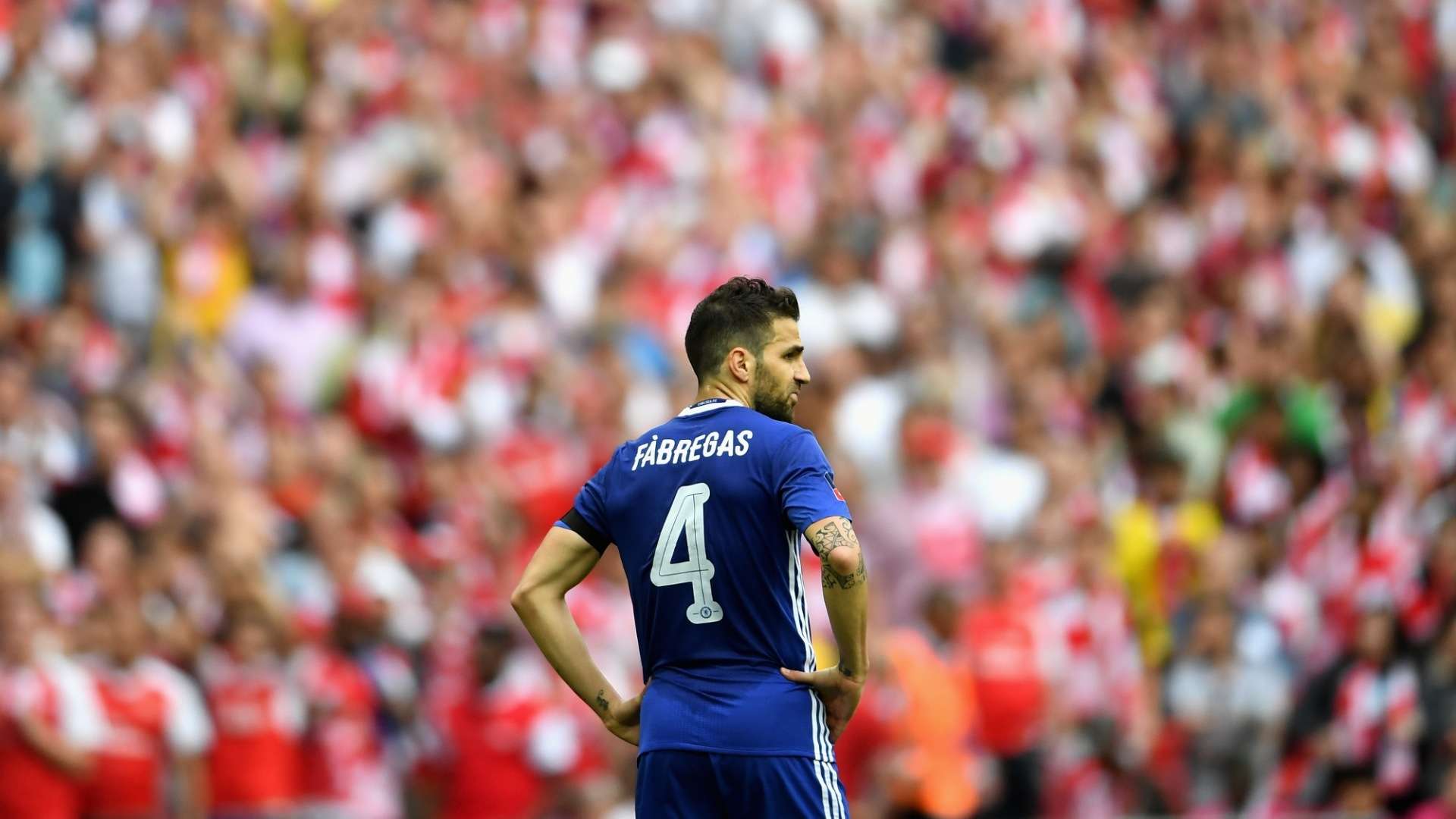 Cesc Fabregas