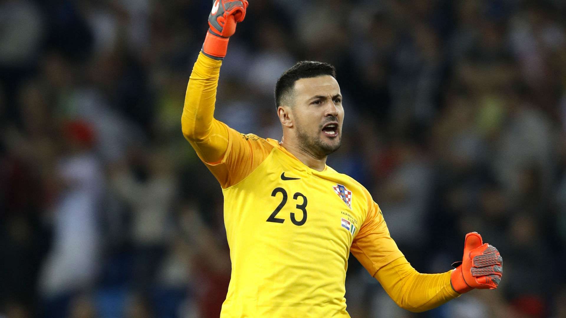 croatia nigeria - danijel subasic - world cup -16062018