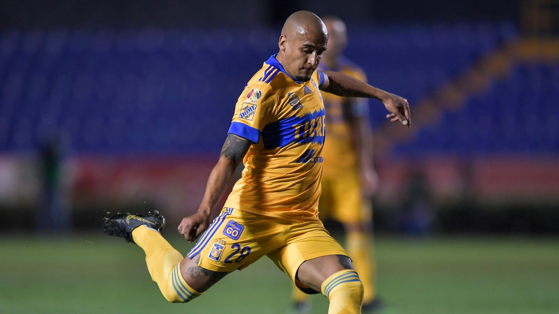 Luis Chaka Rodríguez Tigres 240221
