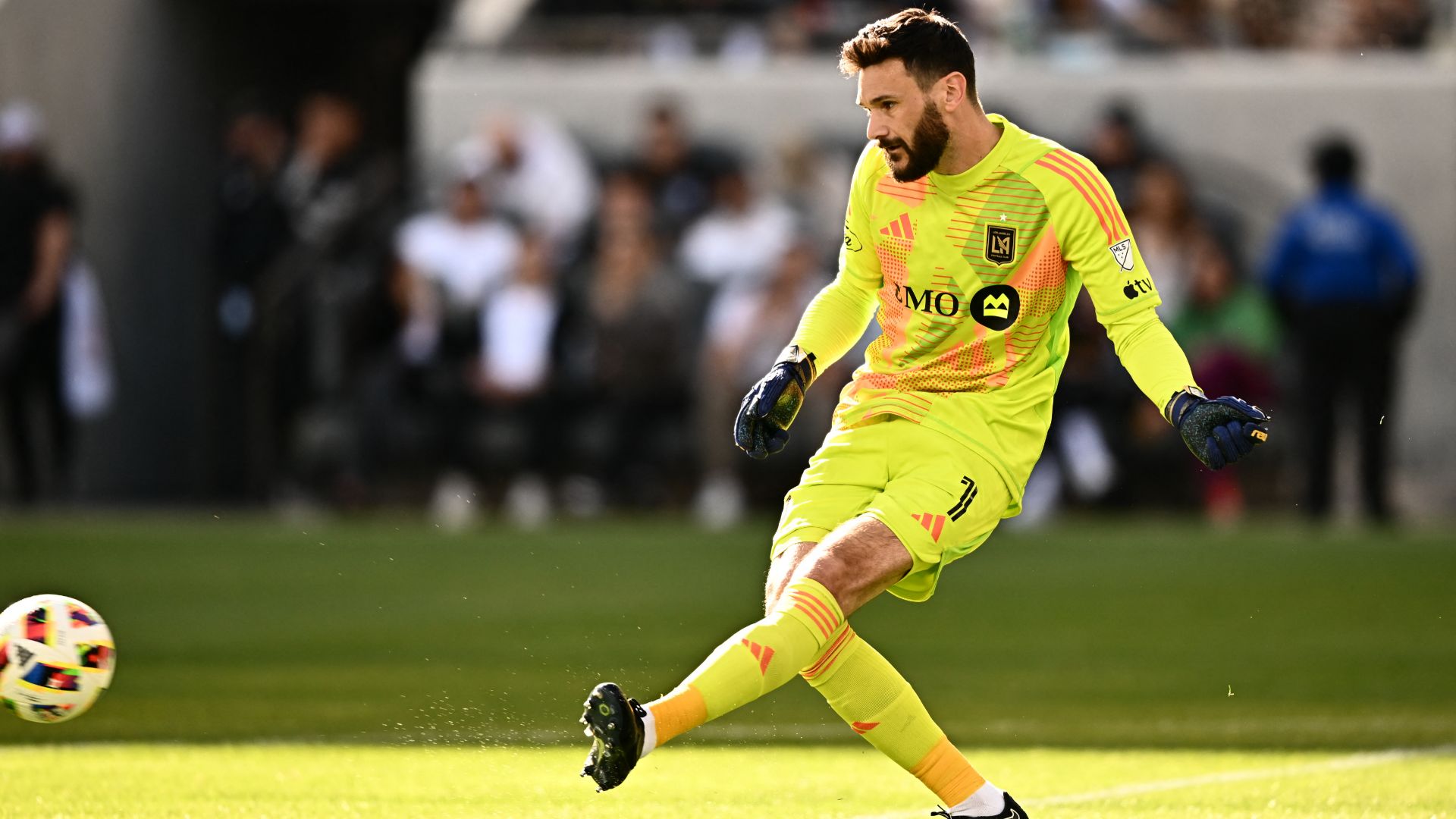 Hugo Lloris