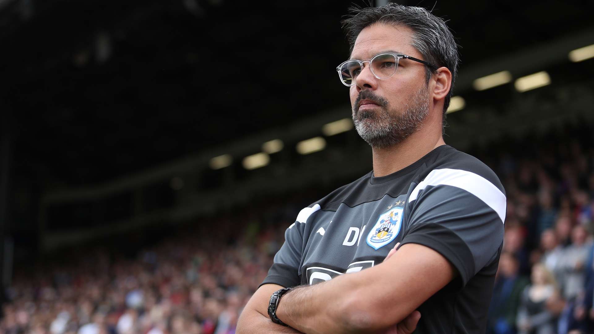 david wagner huddersfield town premier league 081217