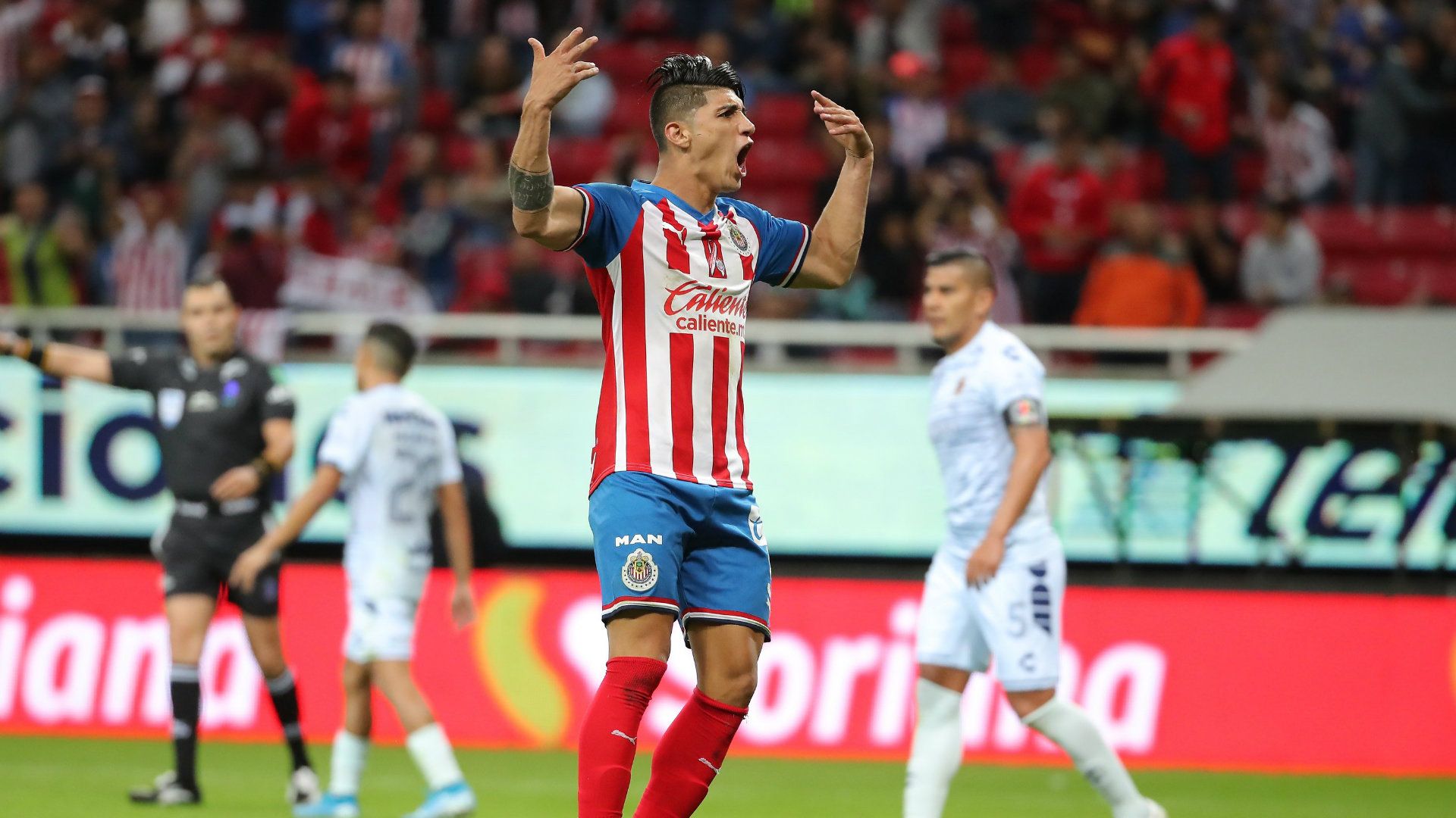 Alan Pulido Chivas Apertura 2019