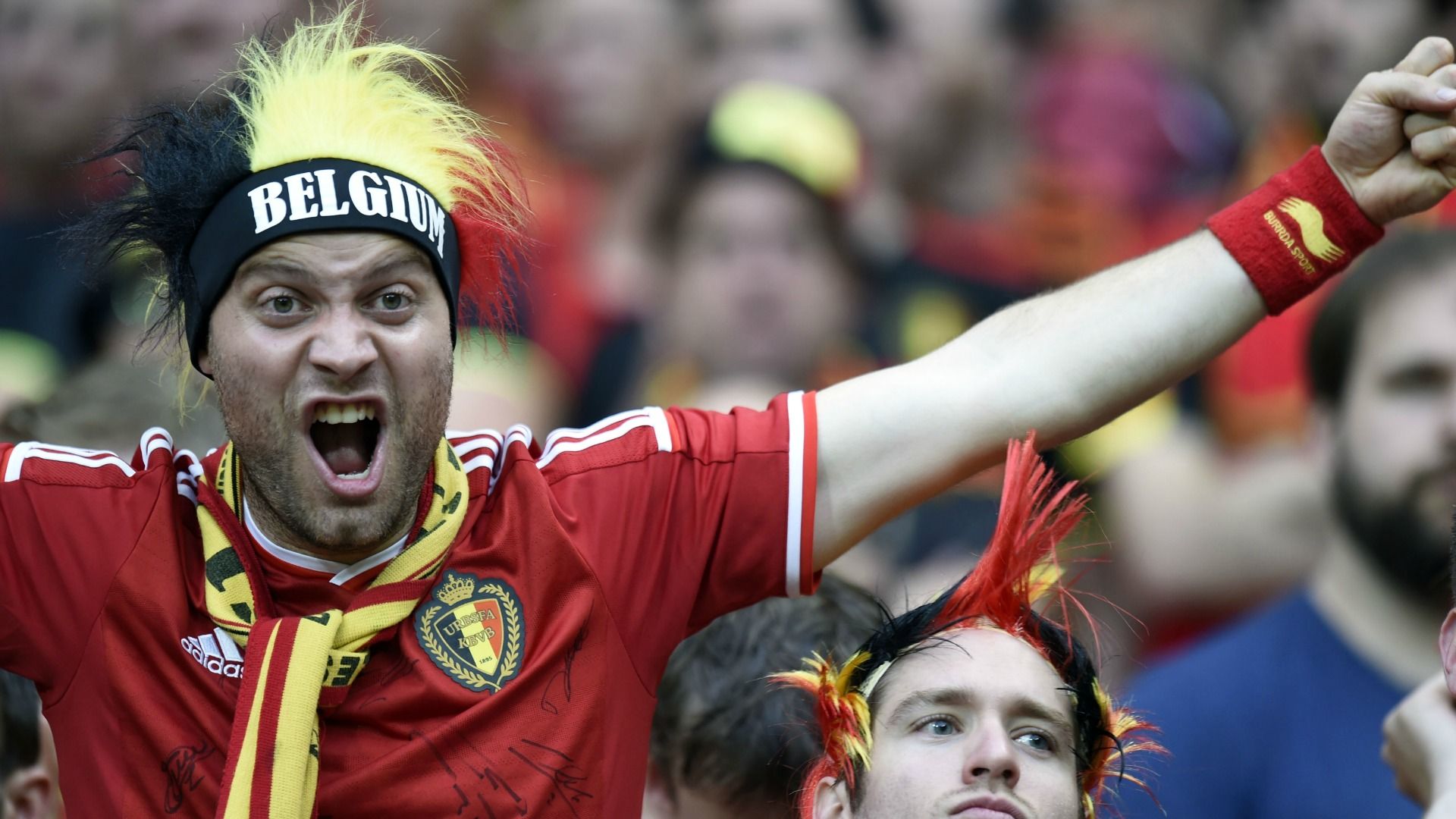 Euro 2016 supporter Belgium