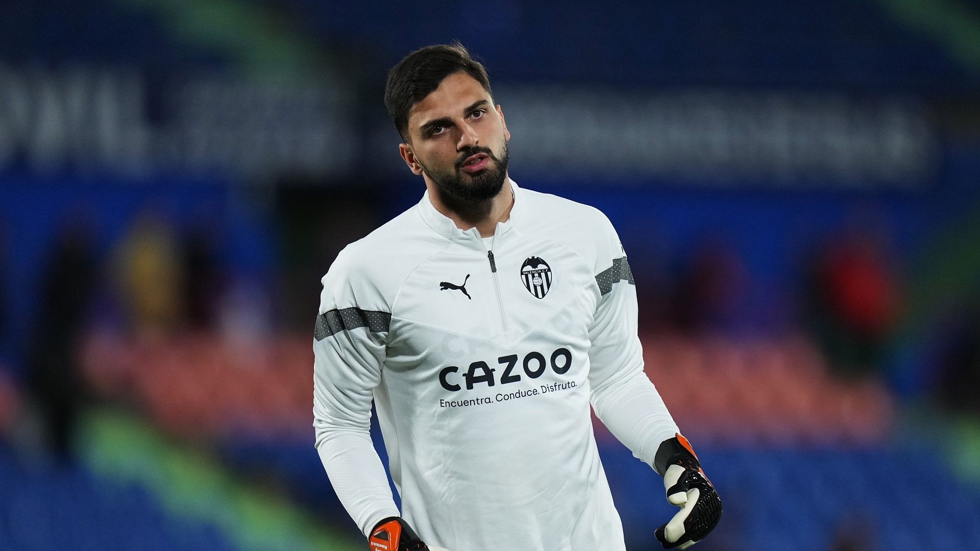 Mamardashvili Valencia