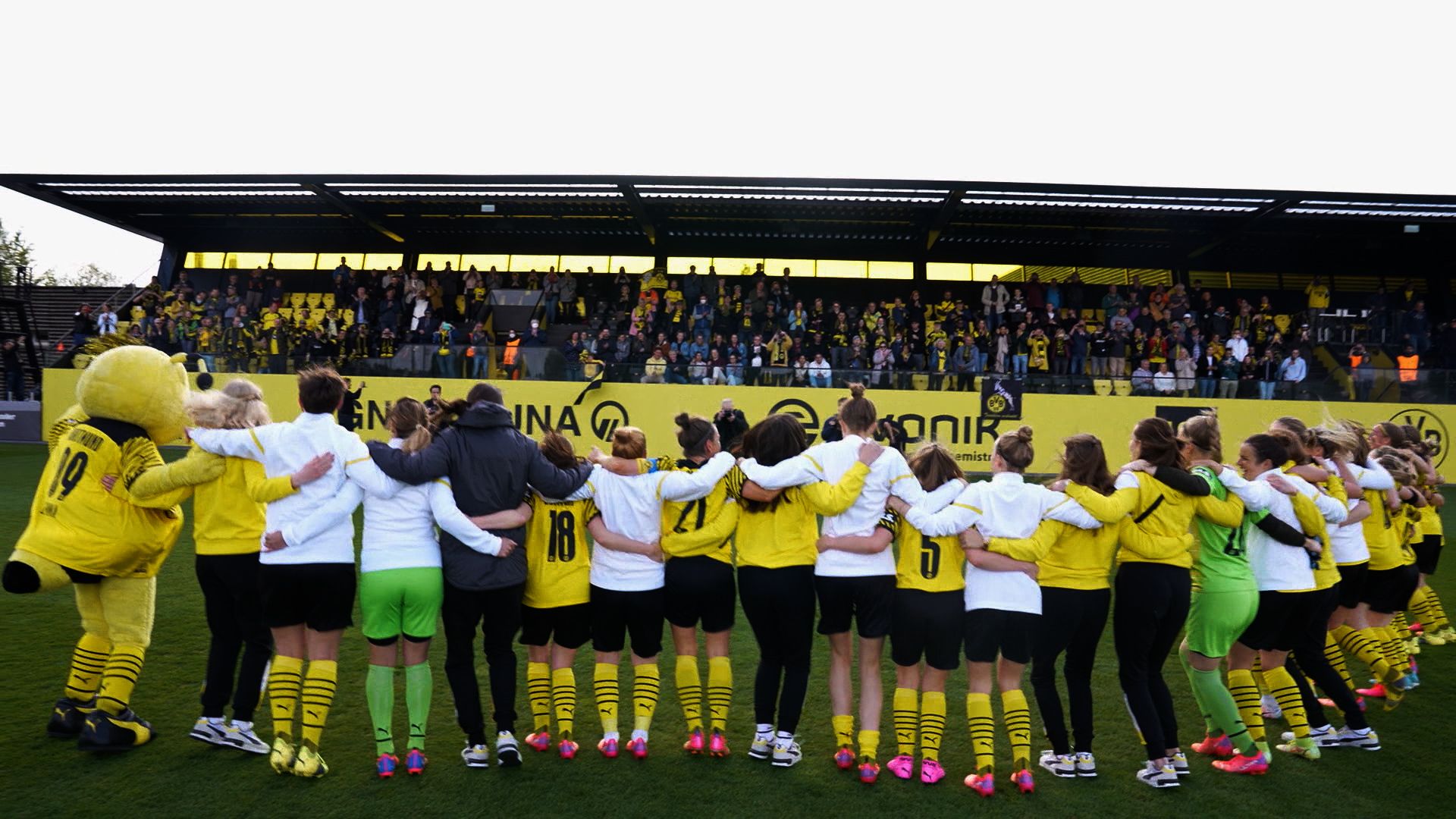 BVB Frauen