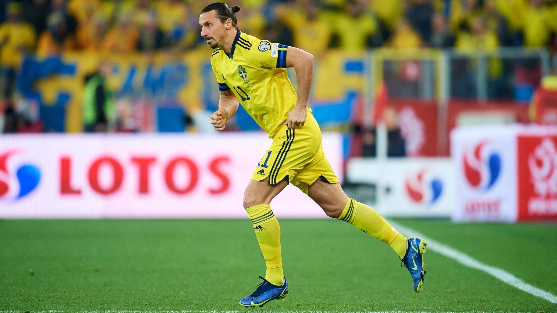 Ibrahimovic Sweden