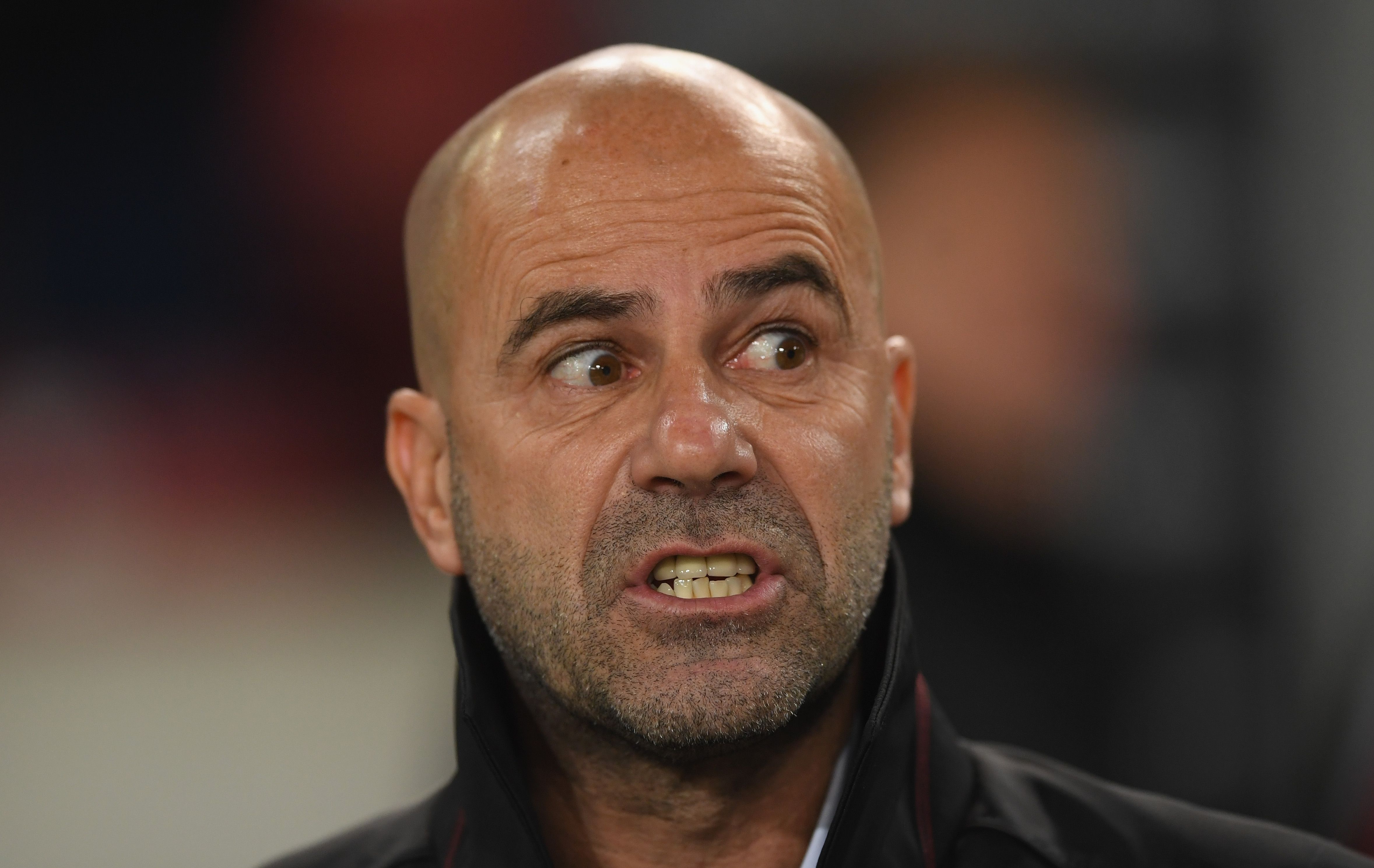 Peter Bosz