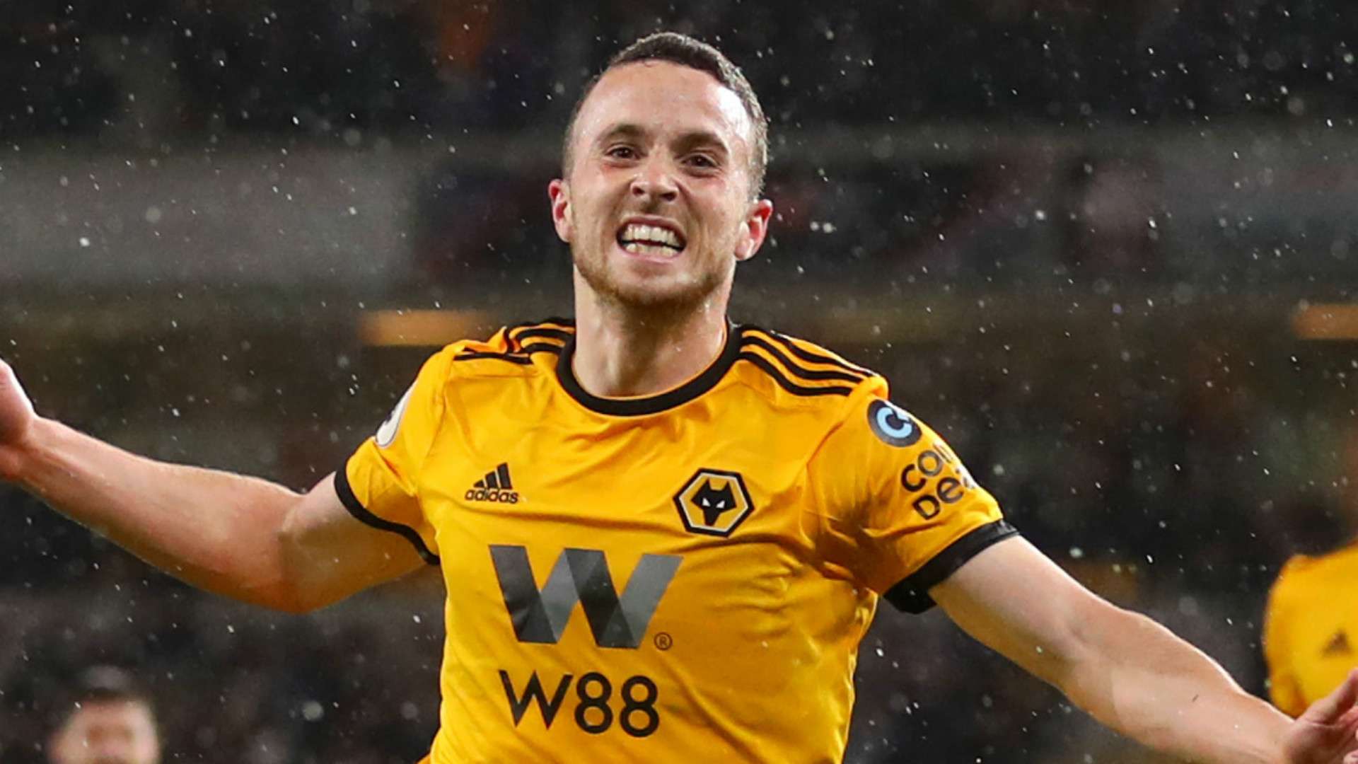 Diogo Jota Wolves 2018-19