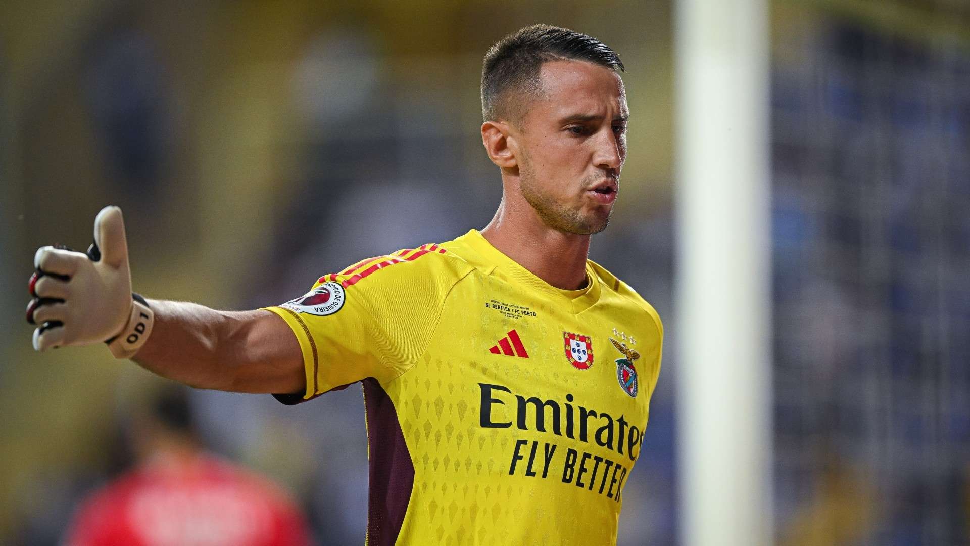 Vlachodimos Benfica