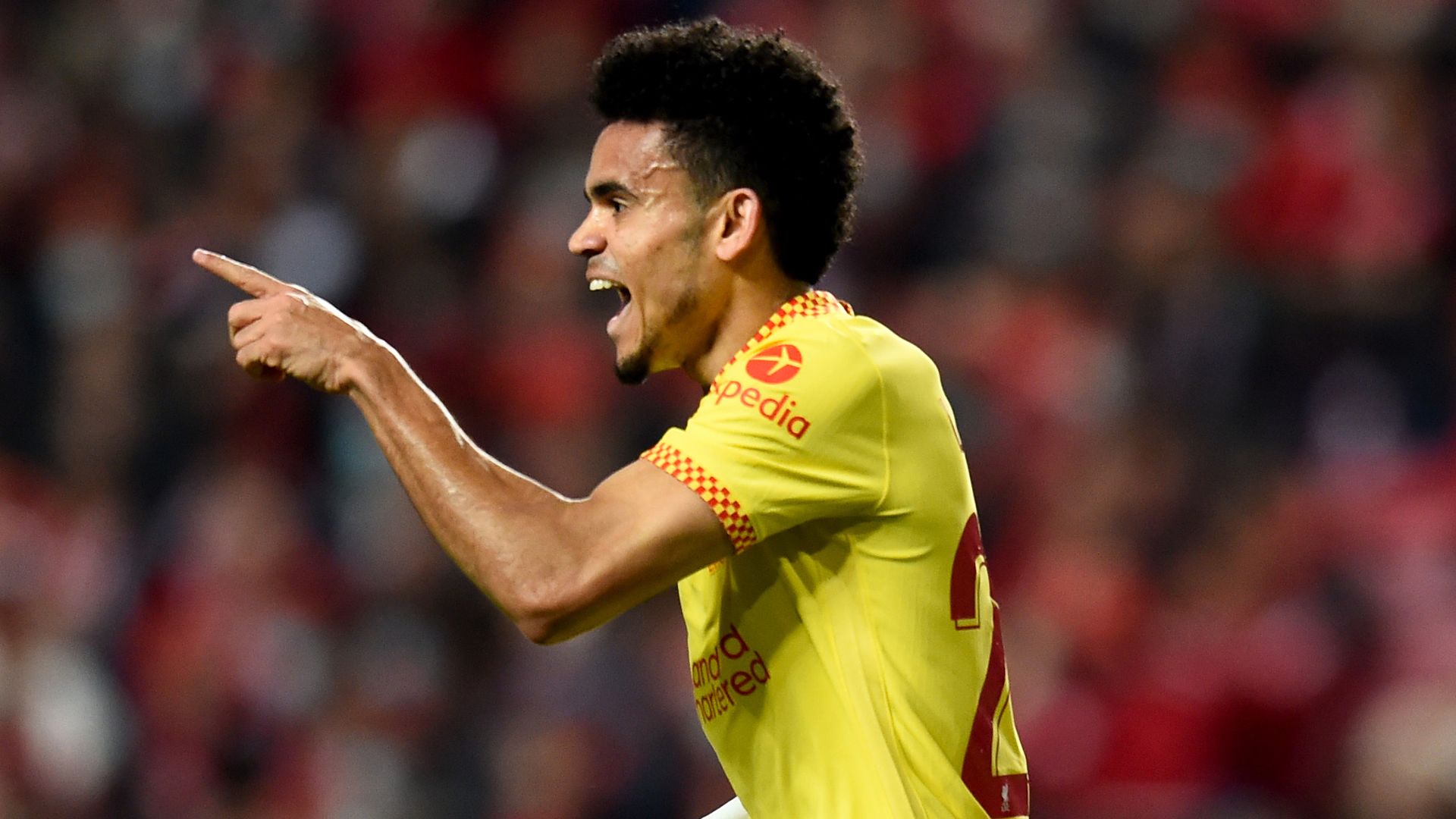 Luis Díaz Liverpool Champions League 2022