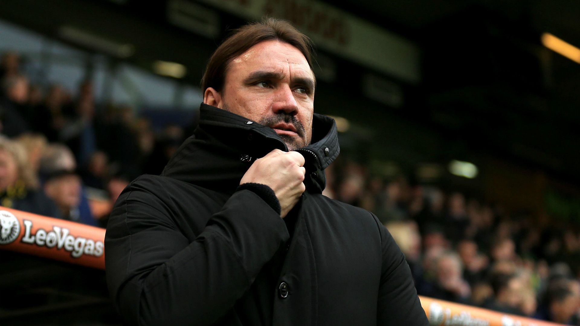 Daniel Farke Norwich City