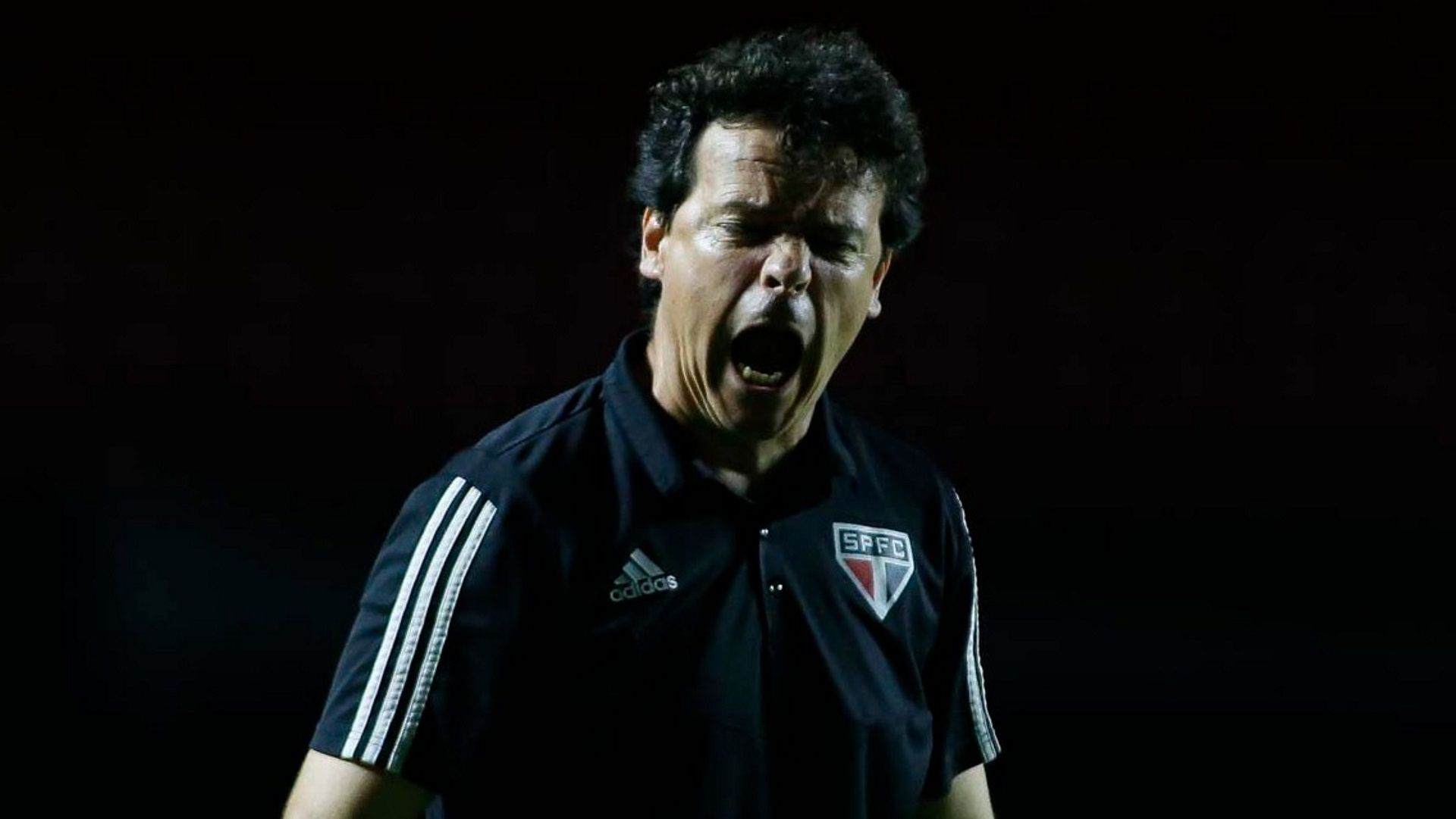Fernando Diniz São Paulo Flamengo Copa do Brasil 19 11 2020