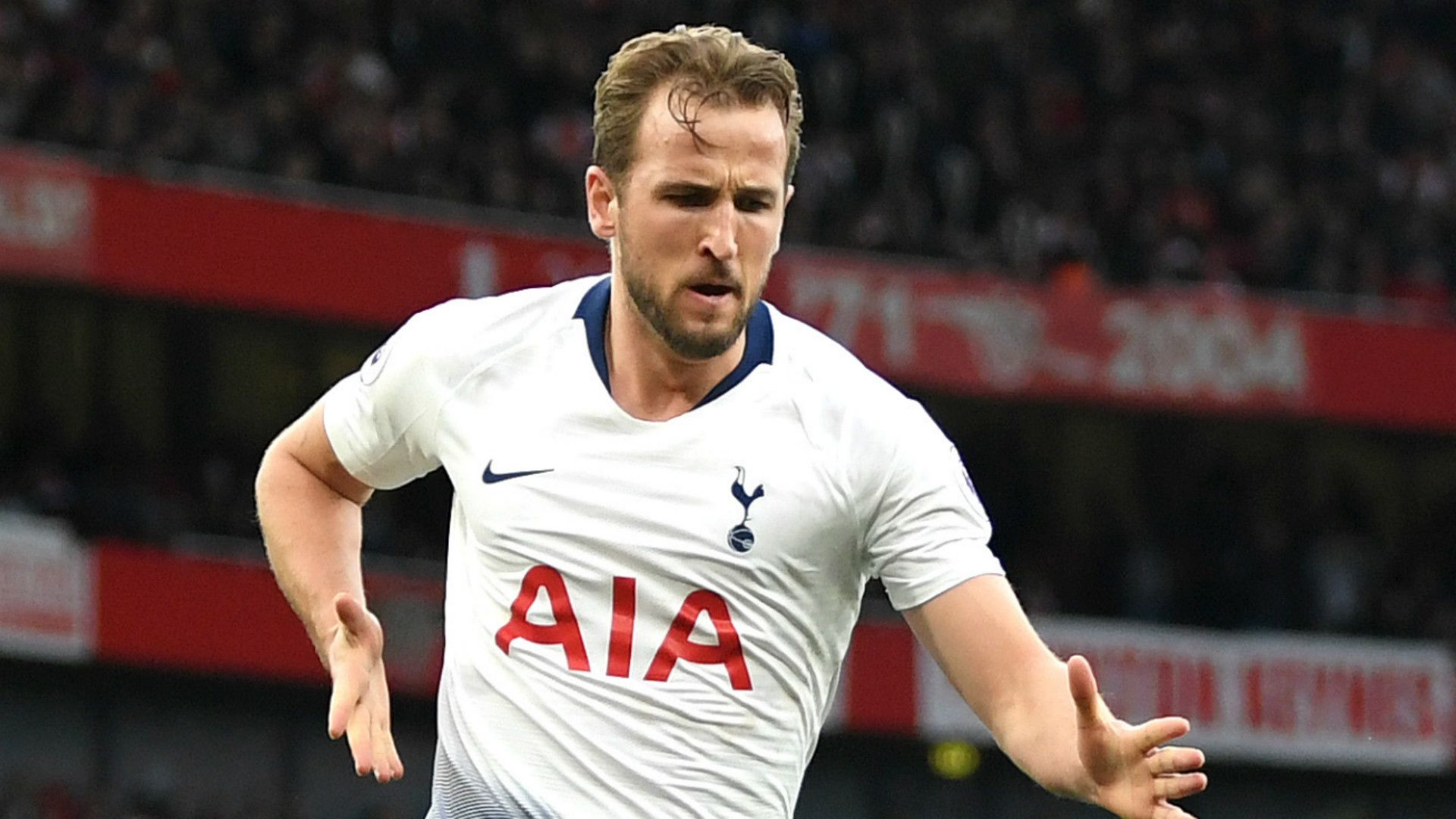 Harry Kane Tottenham 2018-19