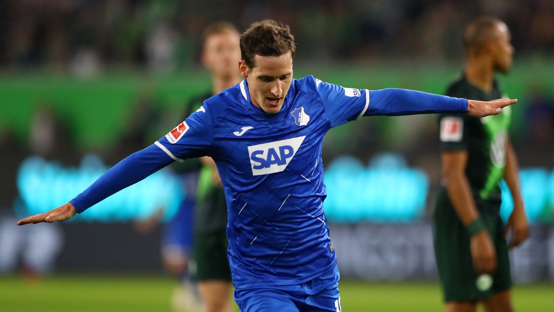 Sebastian Rudy Hoffenheim 2019