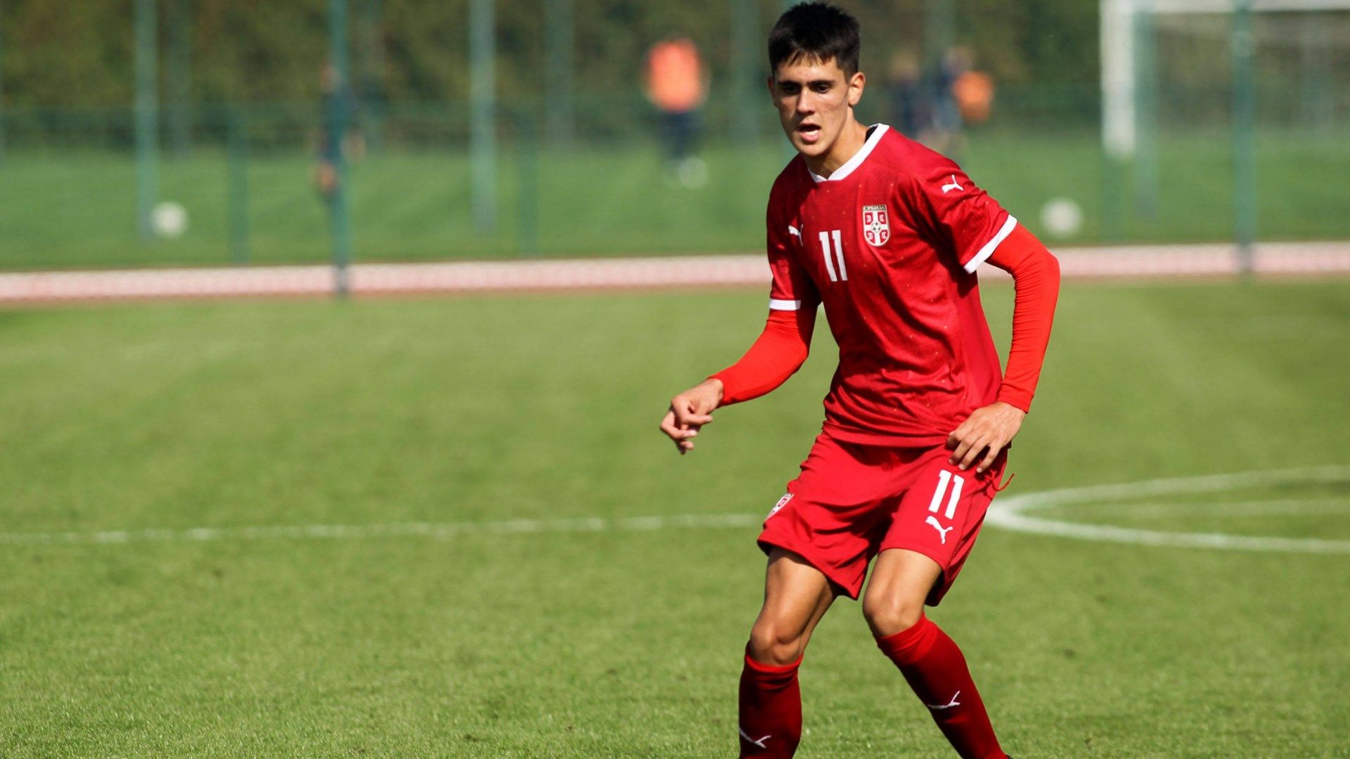 ONLY GERMANY Matija Popovic Serbia 2022