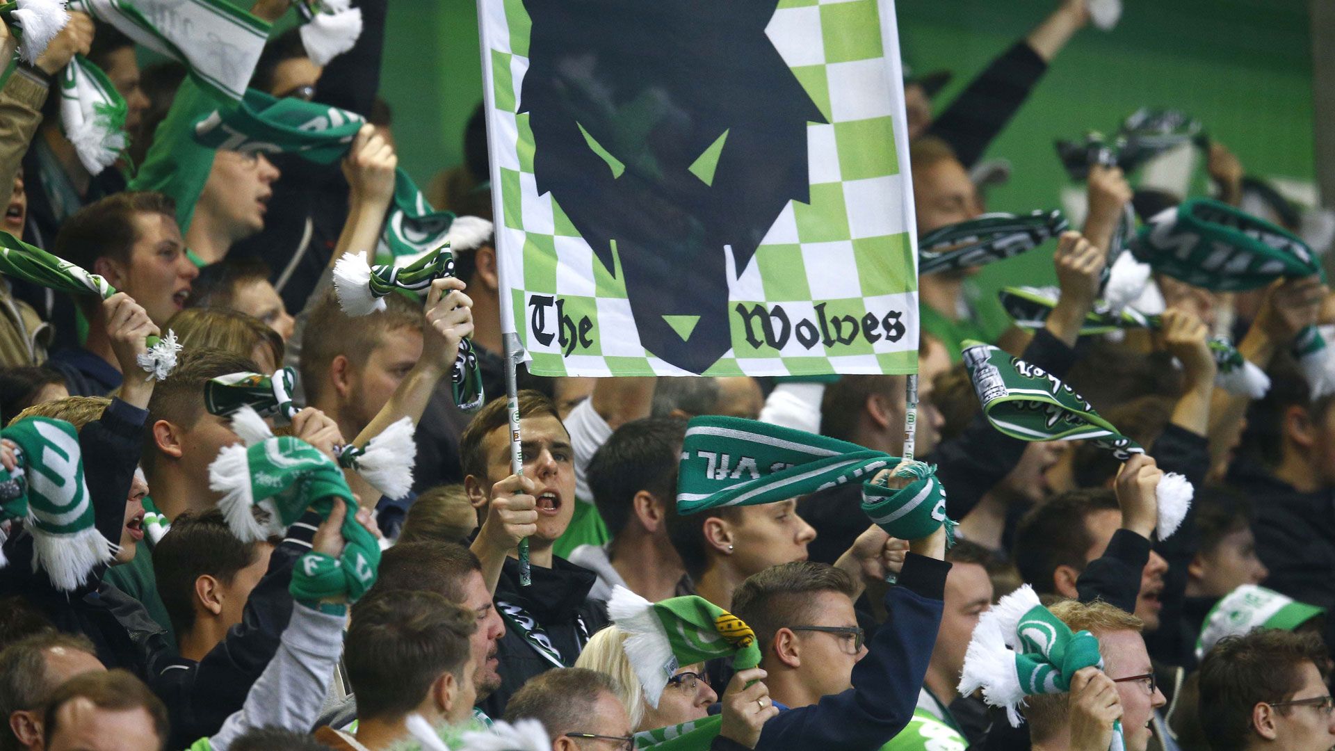 Wolfsburg Fans 05252016