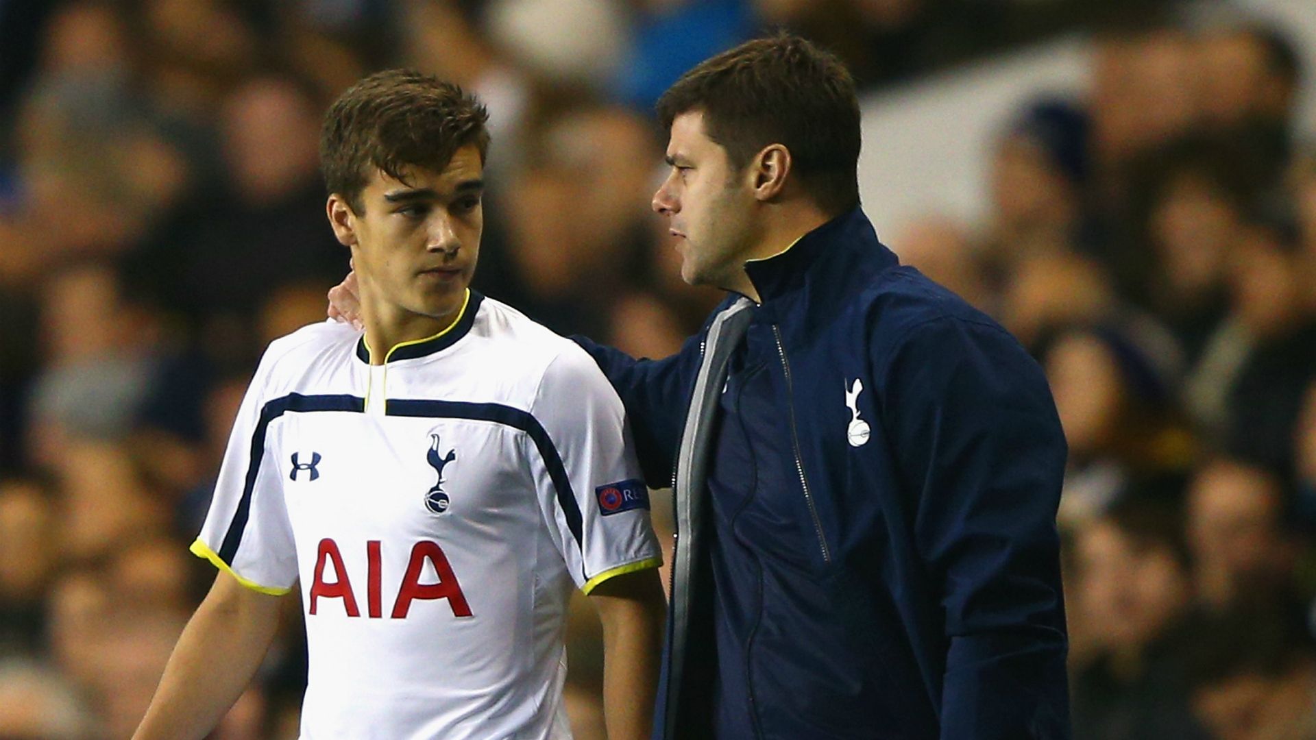 Harry Winks Tottenham