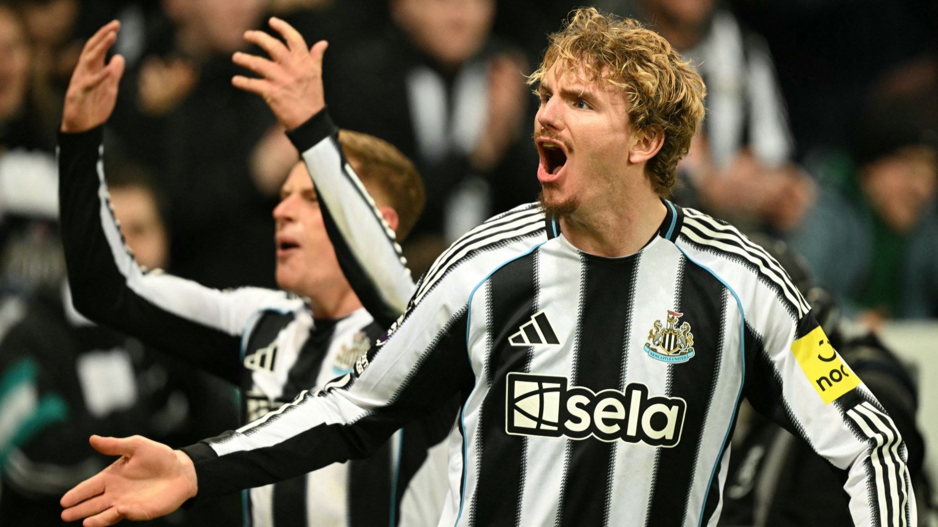 Nick Woltemade Newcastle United 2025