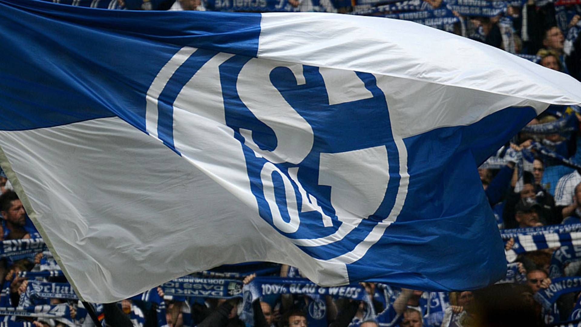 Schalke Fahne