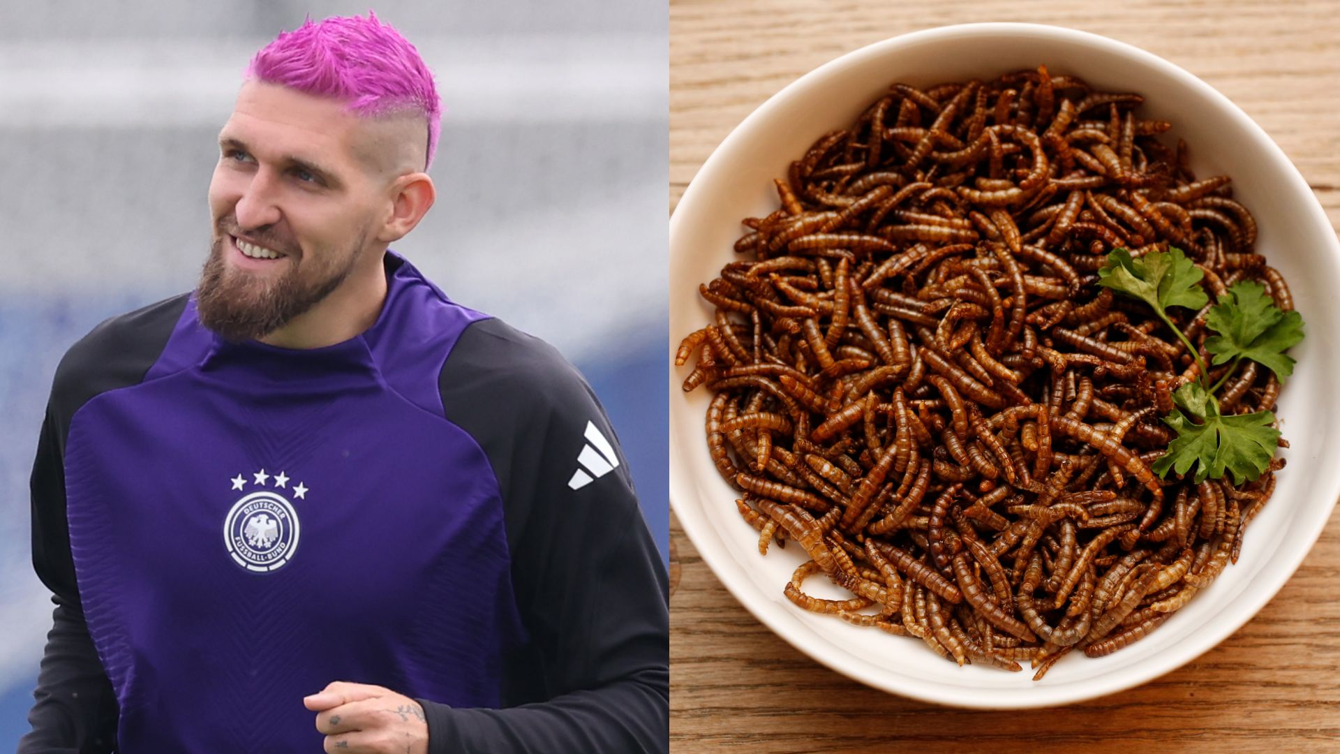 Robert Andrich Mealworms