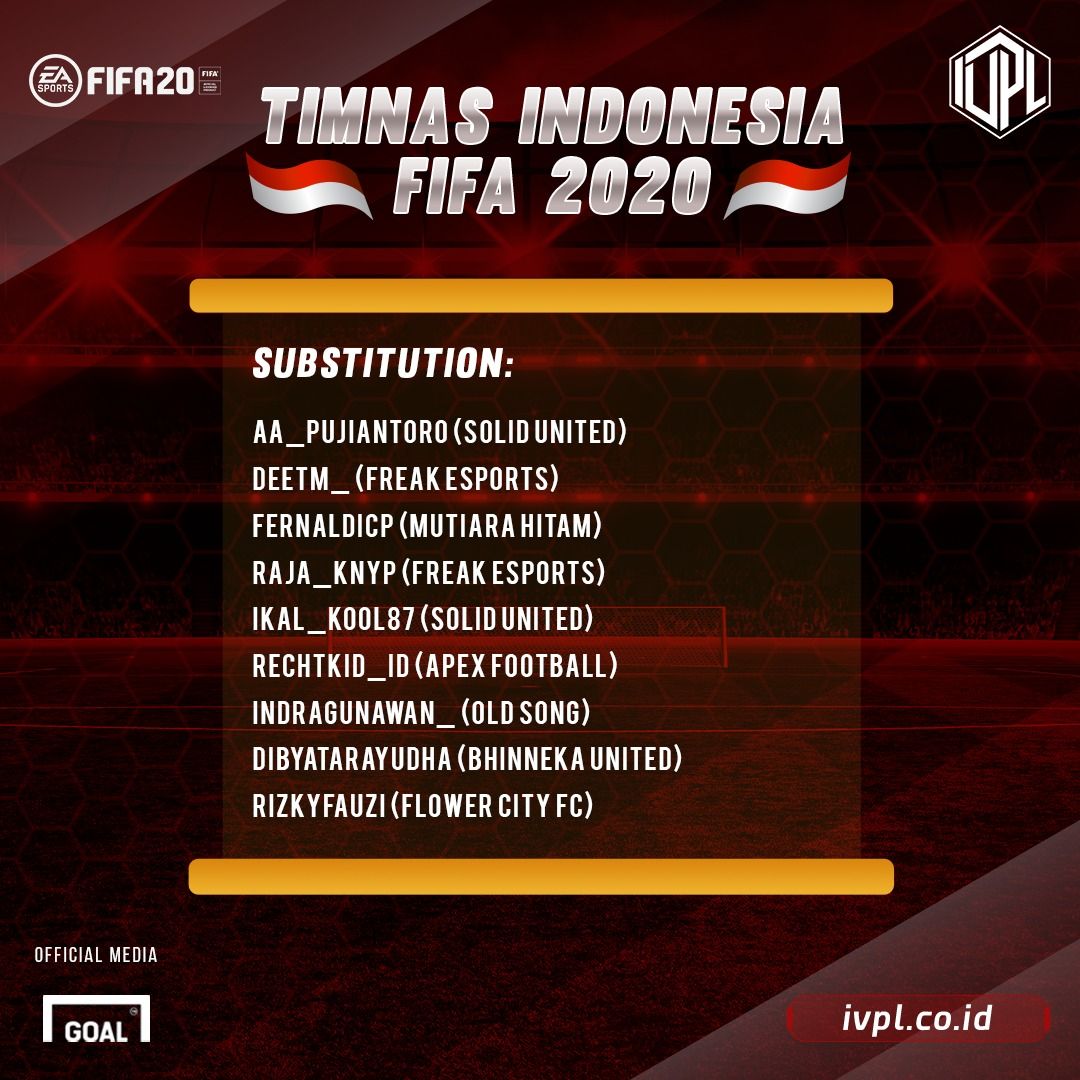Timnas Indonesia IVPL