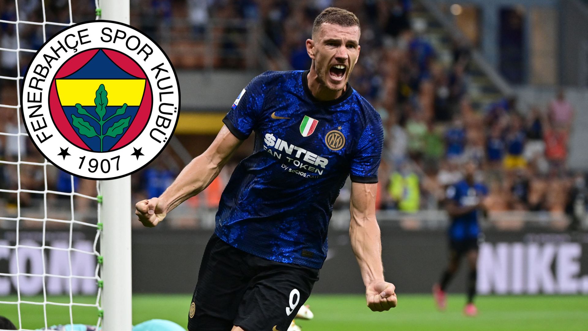 Edin Dzeko, Fenerbahçe