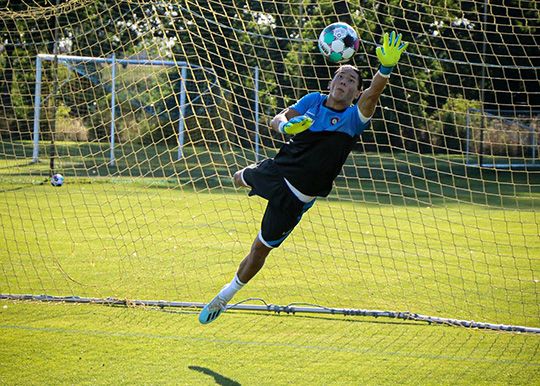 케빈 하르 최민수