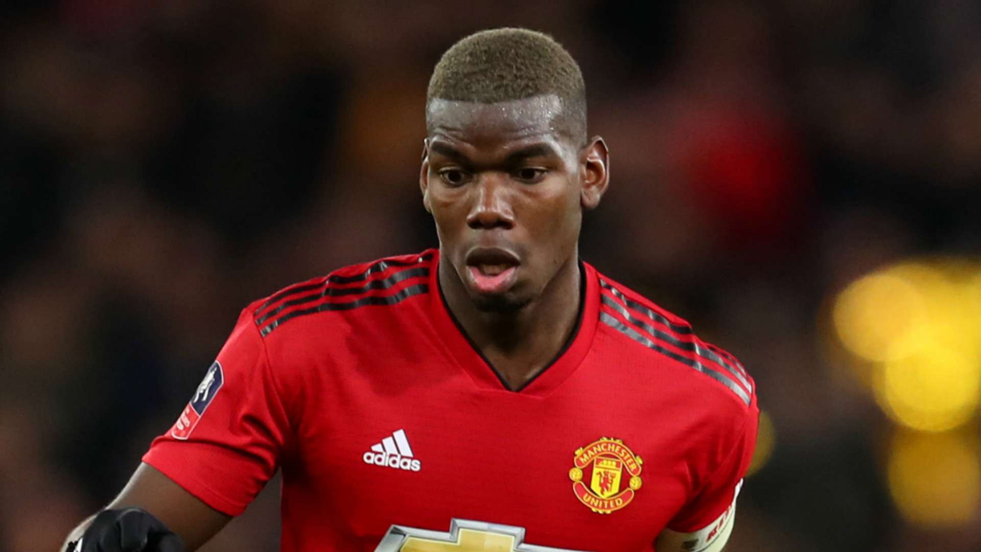 Paul Pogba Manchester United 2018-19
