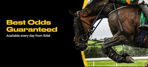 bwin best odds guaranteed