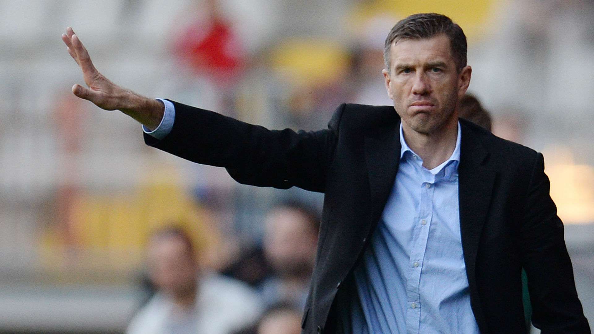 srecko katanec - slovenia 2013