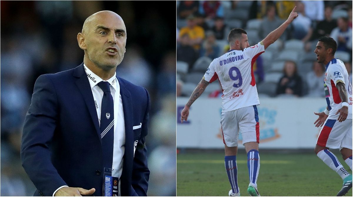 Kevin Muscat Roy O'Donovan