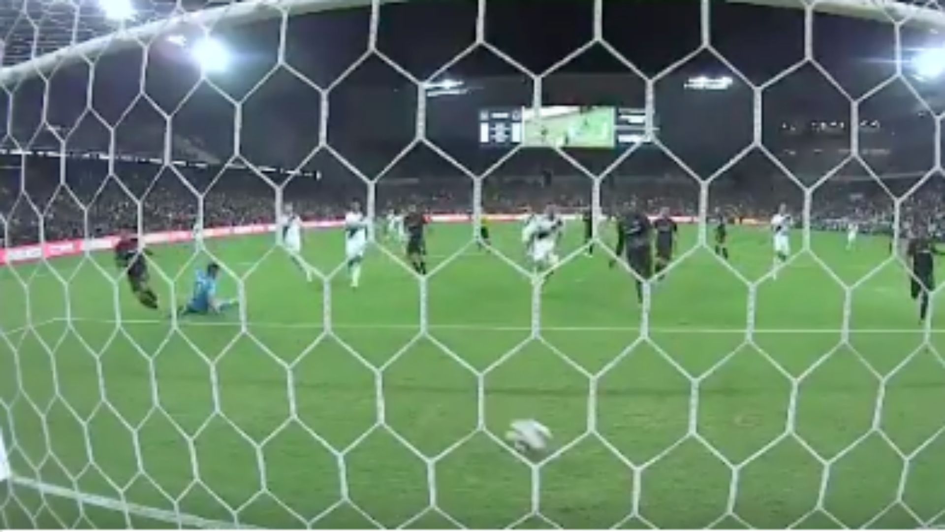 Gol Vela