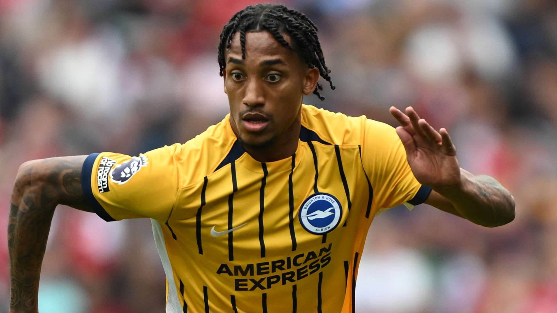 Joao Pedro Brighton 2024-25