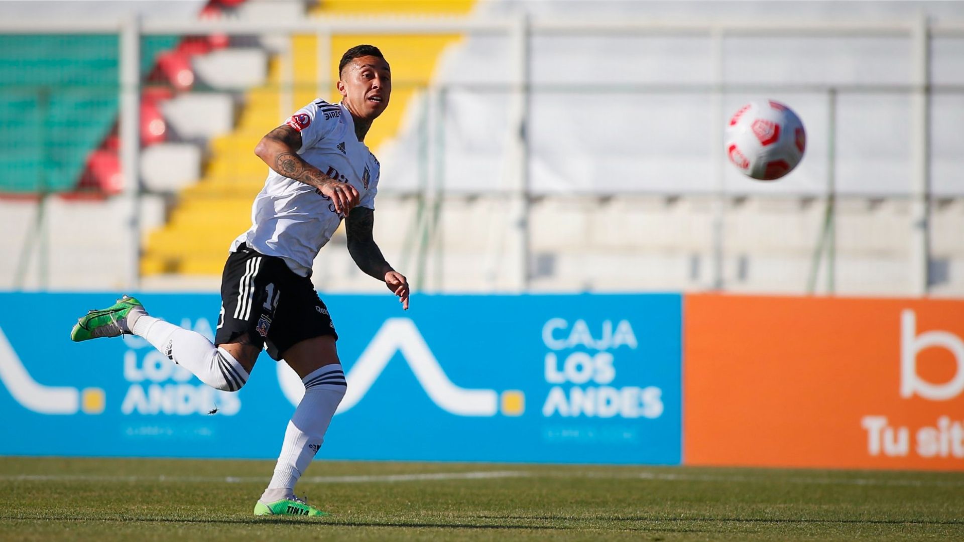 Martín Rodríguez Colo Colo Palestino Copa Chile