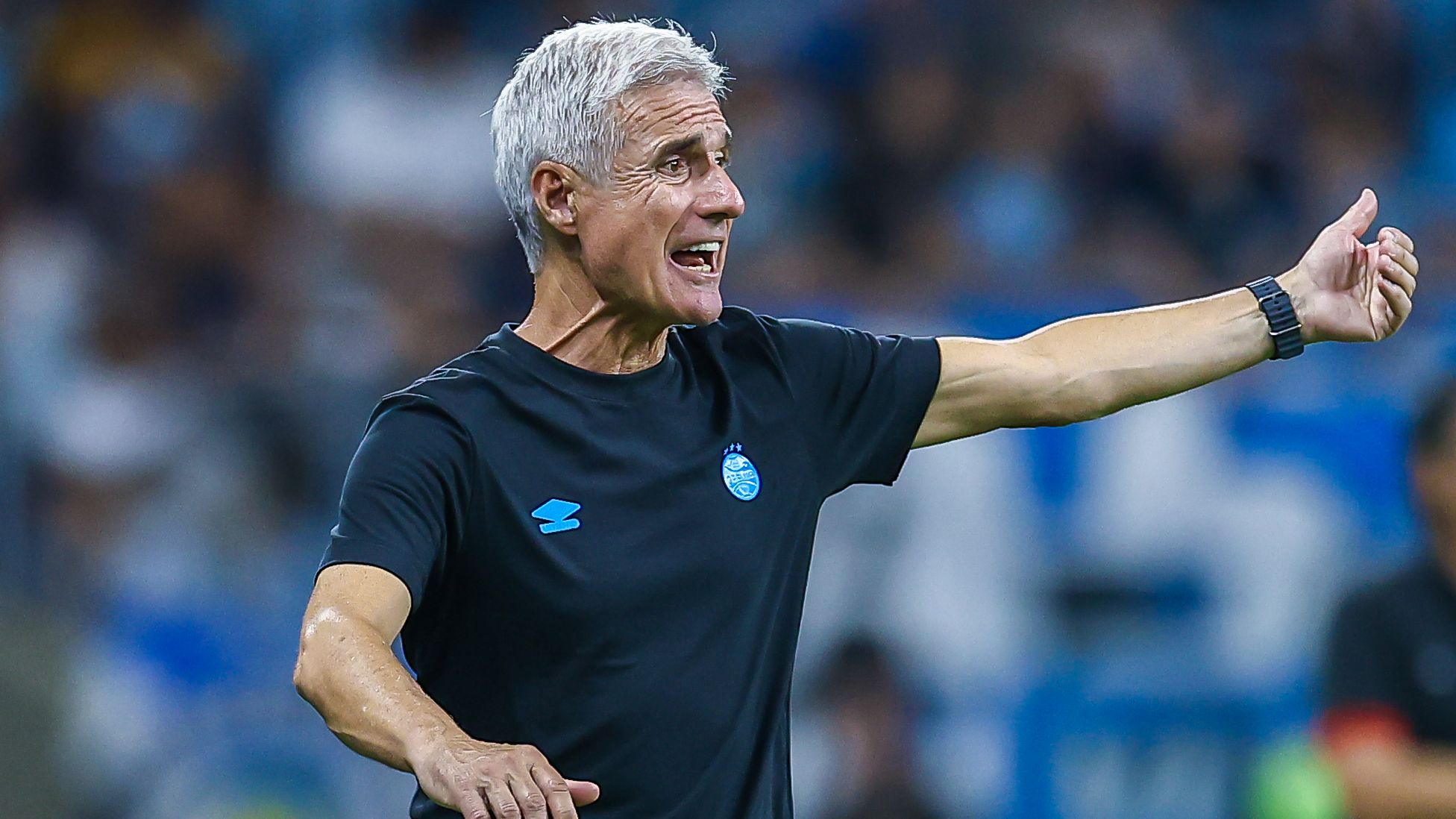 Luis Castro, Grêmio 2026