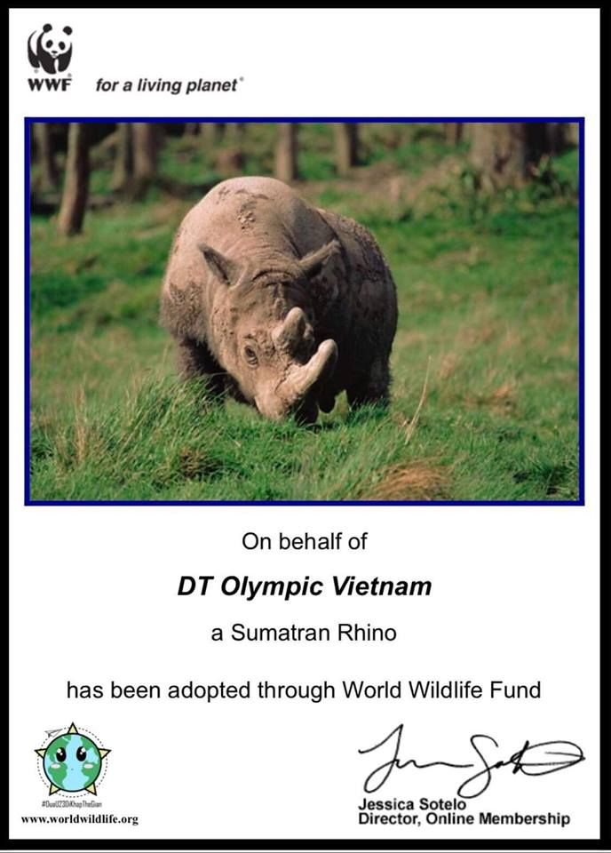 Tê giác Olympic Việt Nam