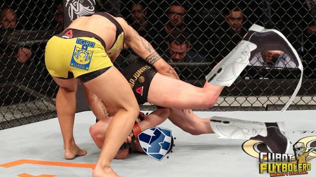 Tigres Rayados Meme