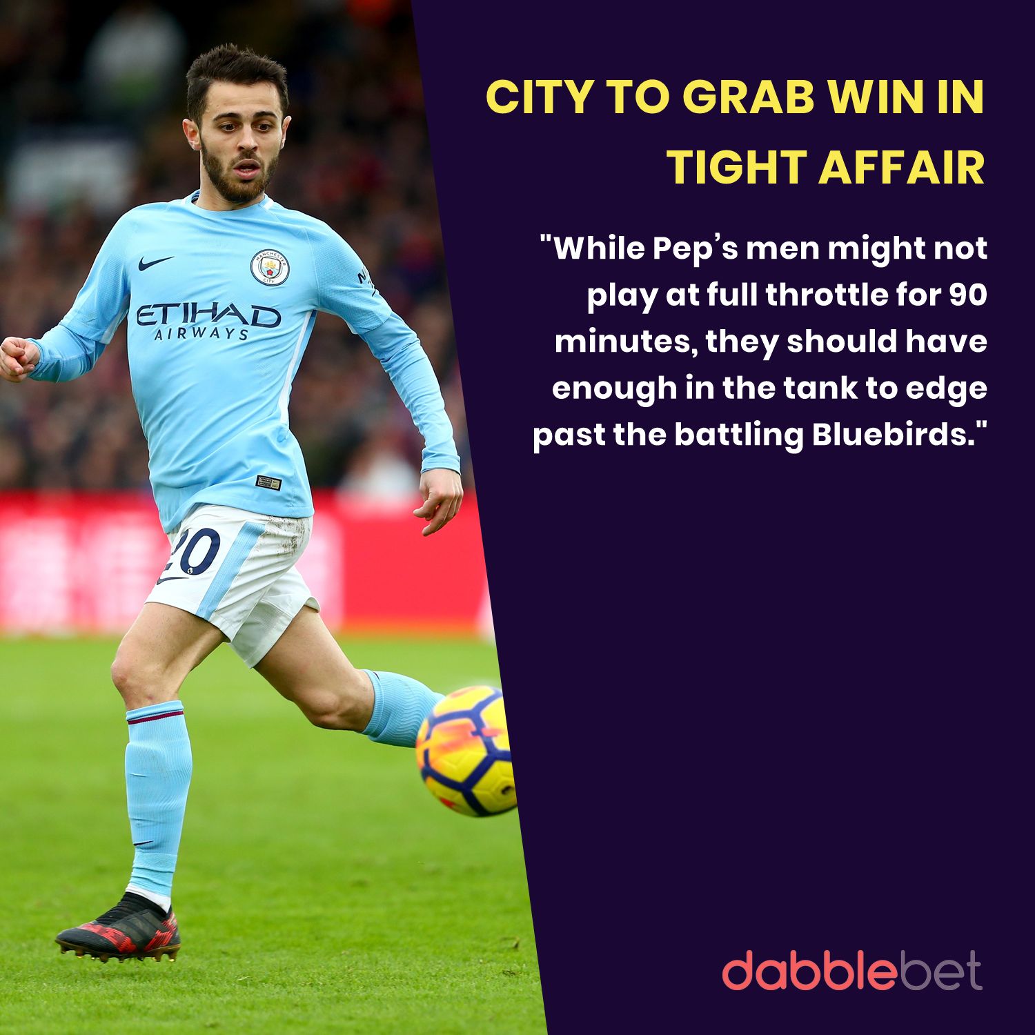 Cardiff Man City graphic