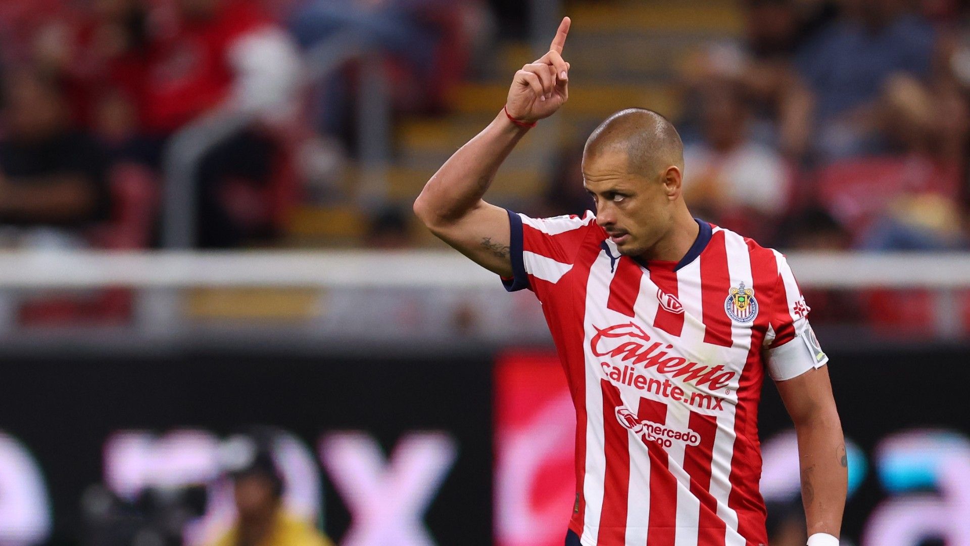 Javier Hernández Chivas Apertura 2024