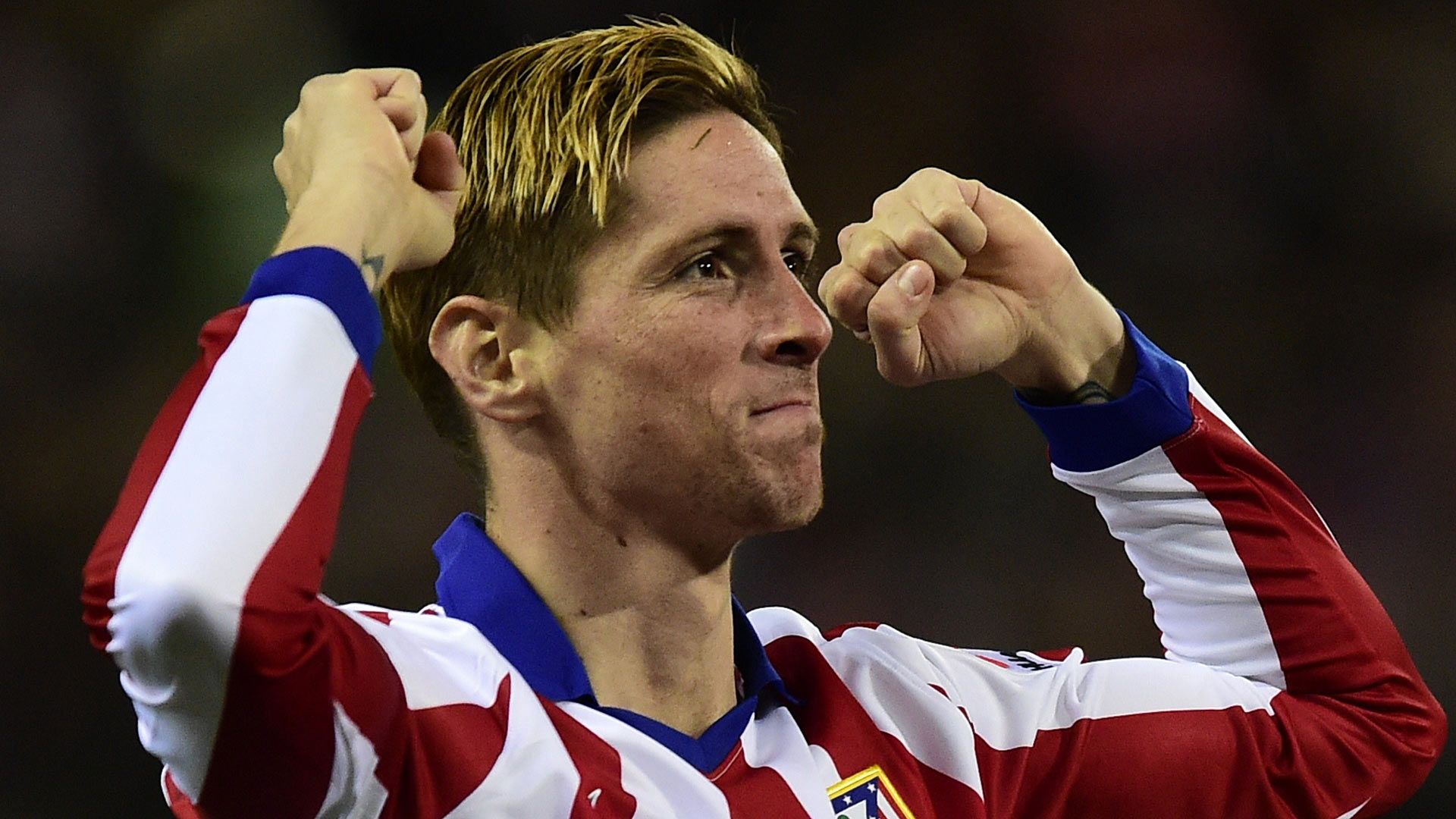 Fernando Torres Atletico Madrid Primera Division