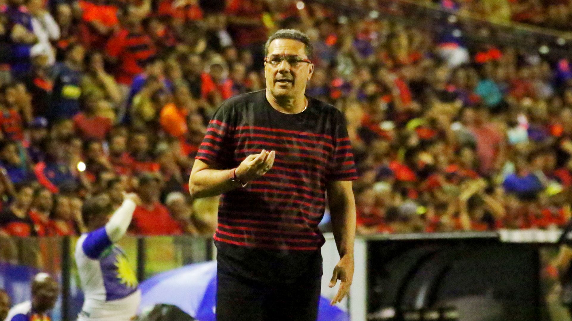 Vanderlei Luxemburgo Sport Recife Flamengo Brasileirao Serie A 07062017