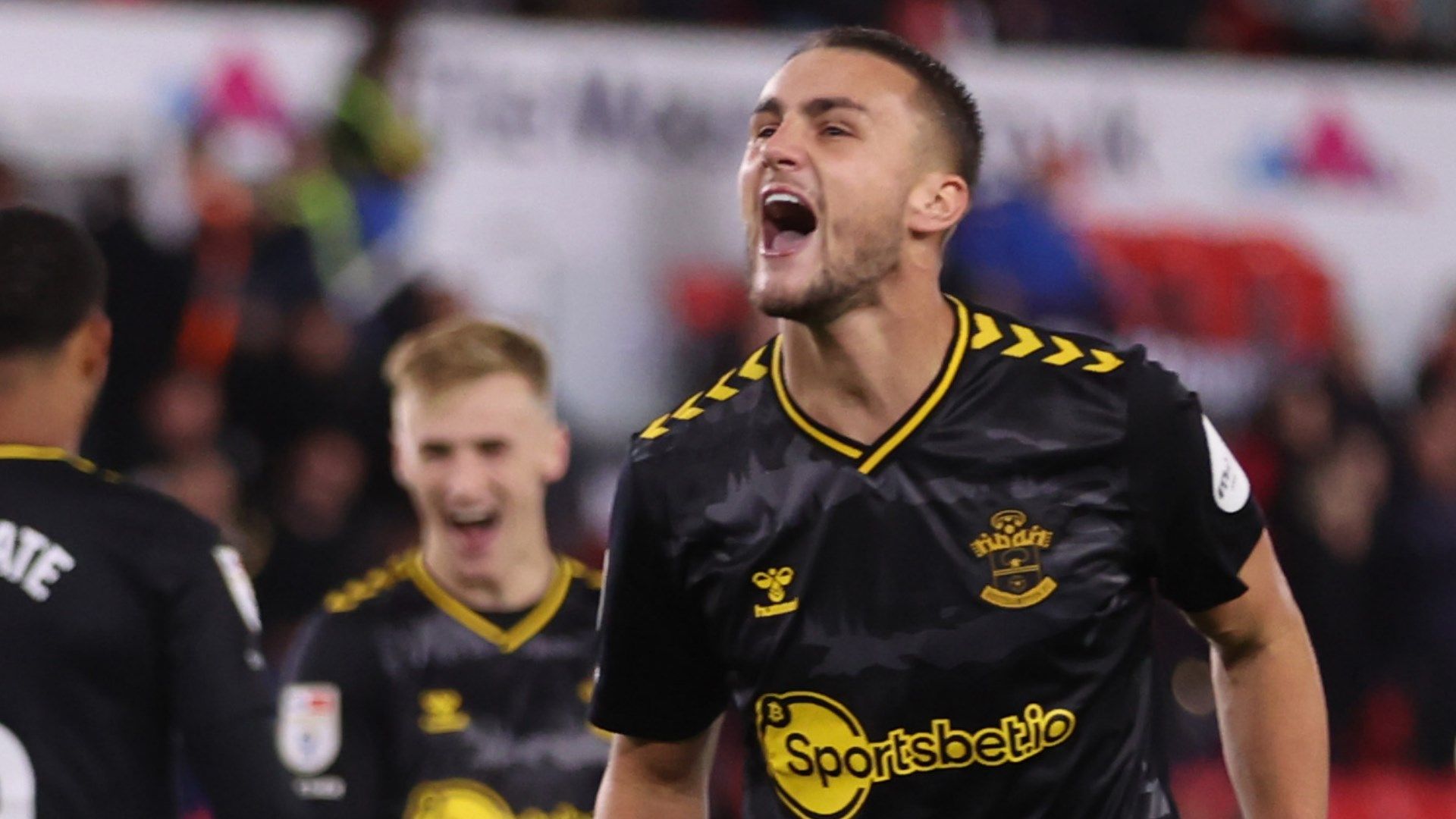 Taylor Harwood-Bellis