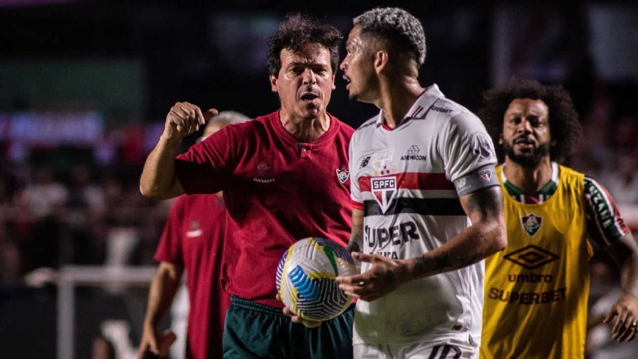 Fernando Diniz Luciano
