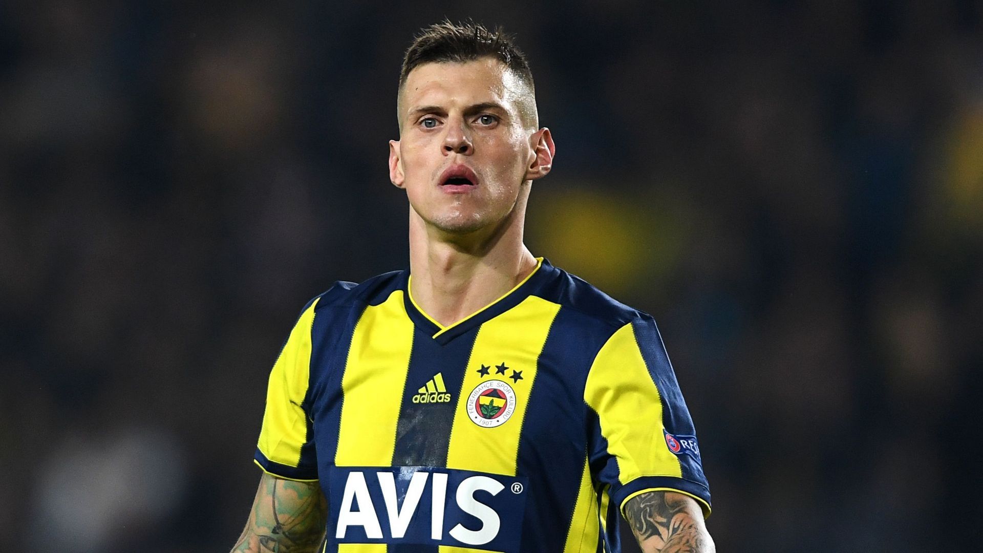 Martin Skrtel Fenerbahce